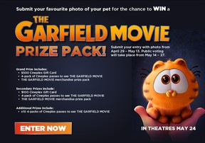 The Garfield Movie Contest