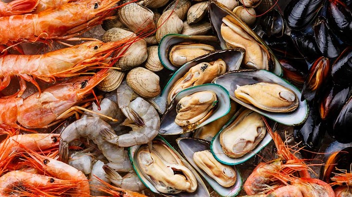 Seafood has higher levels of PFAS 'forever chemicals': study