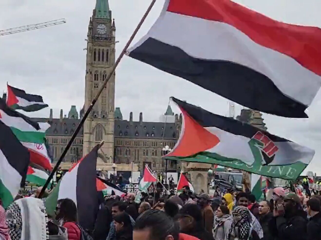 NextImg:Jamie Sarkonak: Canada not 'engulfed' in antisemitism — for the most part, study says