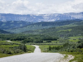 Alberta foothills.