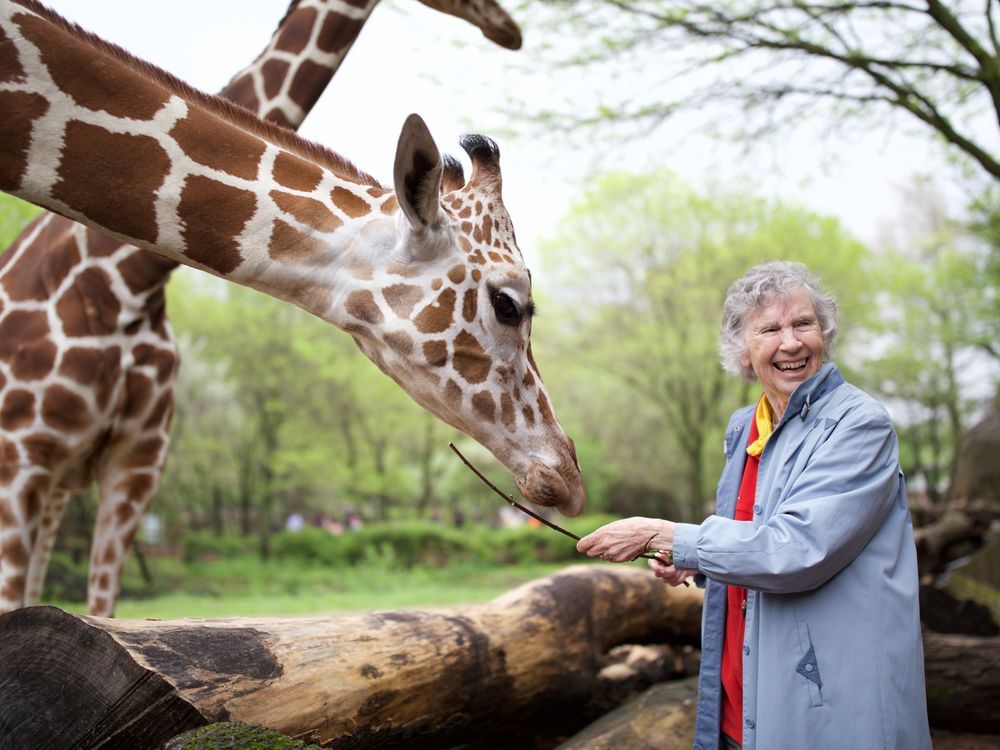 NextImg:Anne Innis Dagg, pioneering giraffe researcher, dies at 91