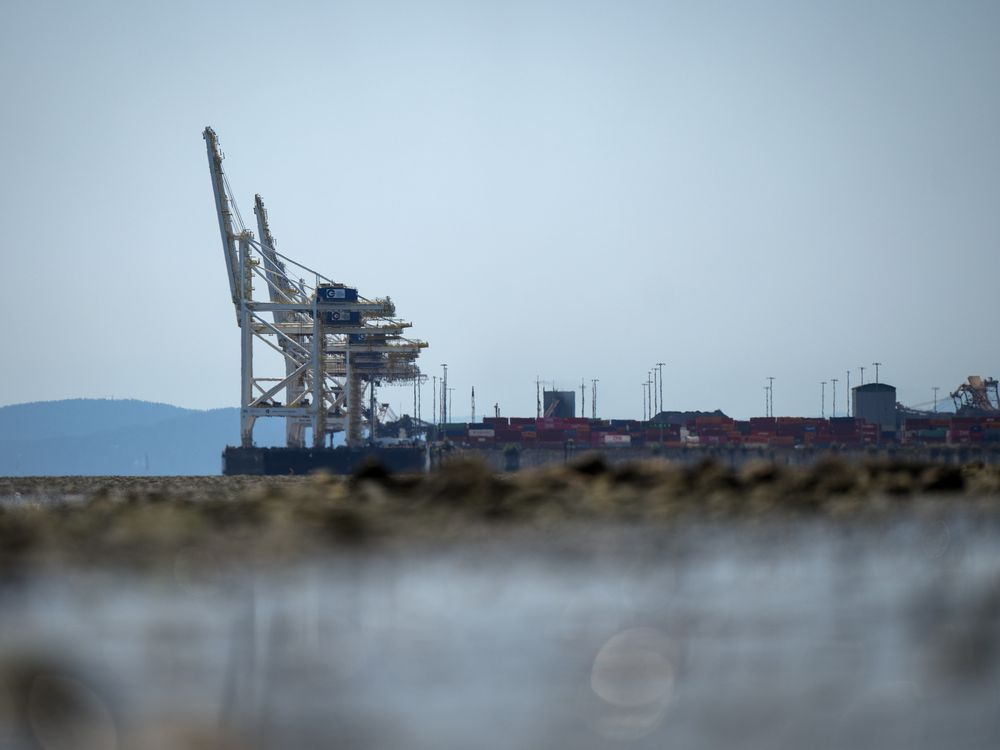 NextImg:B.C. port terminal among sites blocked in co-ordinated pro-Palestinian protests