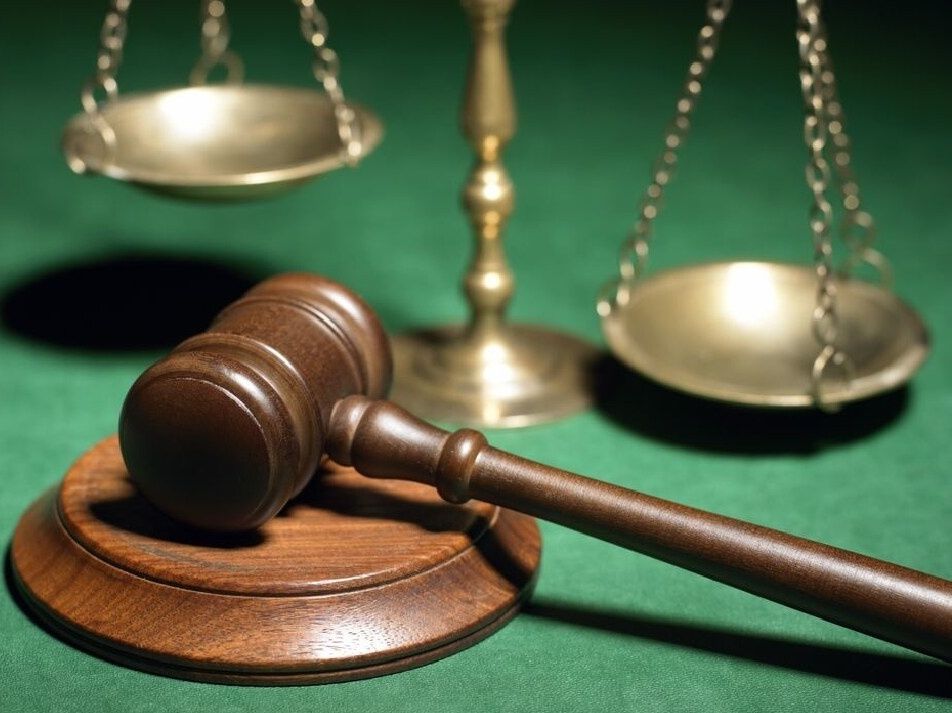 NextImg:Australian public servant injured stepping over dog fence at home wins workers compensation