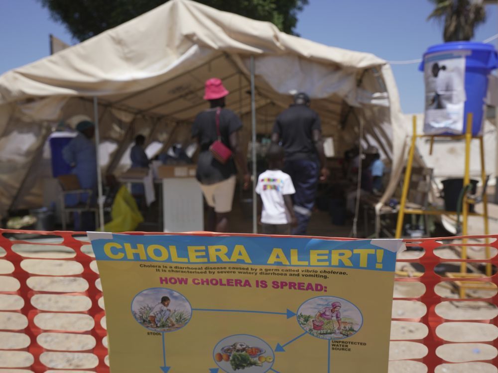 NextImg:UN approves an updated cholera vaccine that could help fight a surge in cases