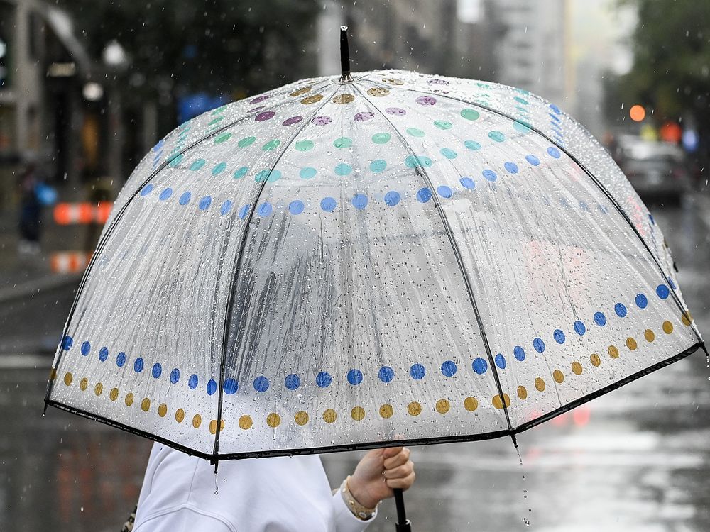 NextImg:Heavy rainfall triggers flood conditions on several Quebec rivers