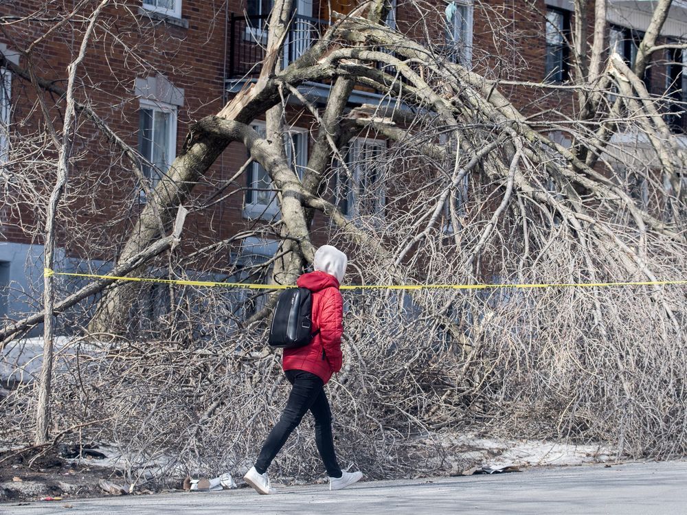 NextImg:Spring storm hits Eastern Canada, tens of thousands without power in Quebec, Ontario