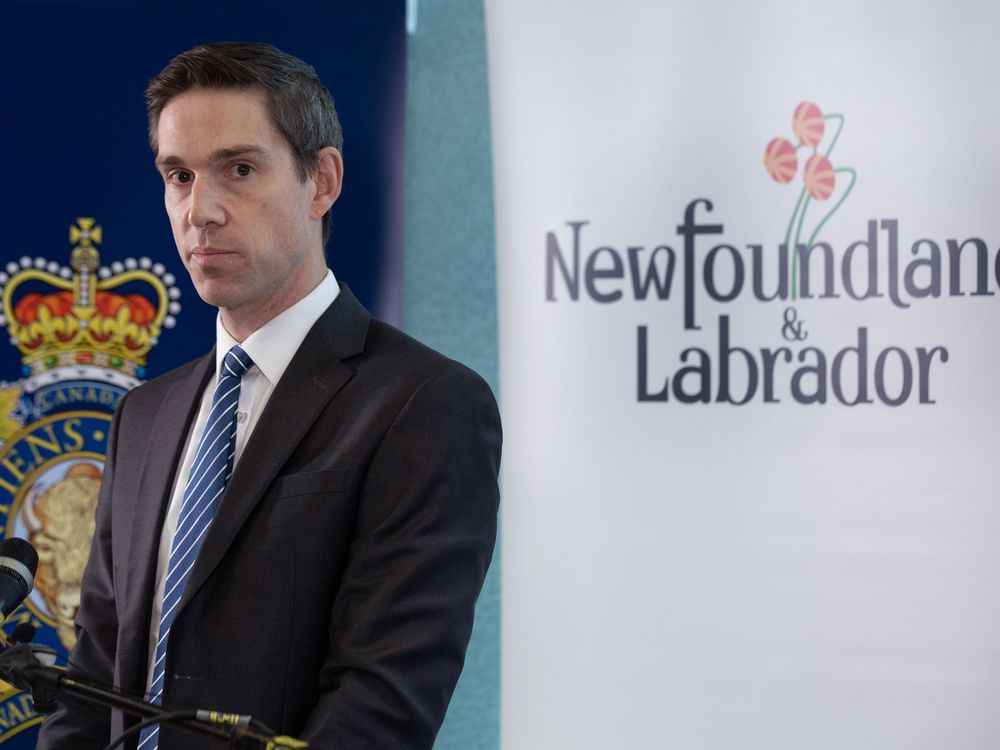 NextImg:N.L. minister seeks Criminal Code changes he says will protect domestic abuse victims