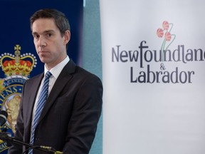 Newfoundland and Labrador Justice Minister John Hogan addresses a press conference in St. John's, Monday, Nov. 20, 2023. Hogan has written to his federal counterpart to ask for changes to the Criminal Code relating to bail and detention in intimate partner violence cases.THE CANADIAN PRESS/Paul Daly