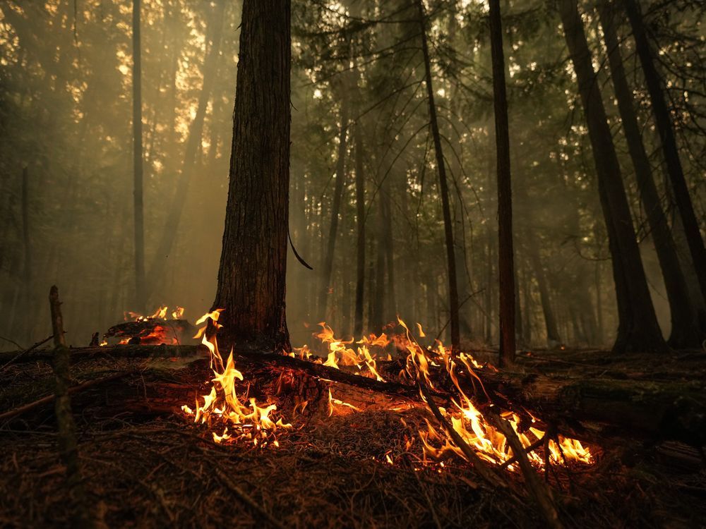 NextImg:Wildfires start early in B.C., with at least one burning out of control