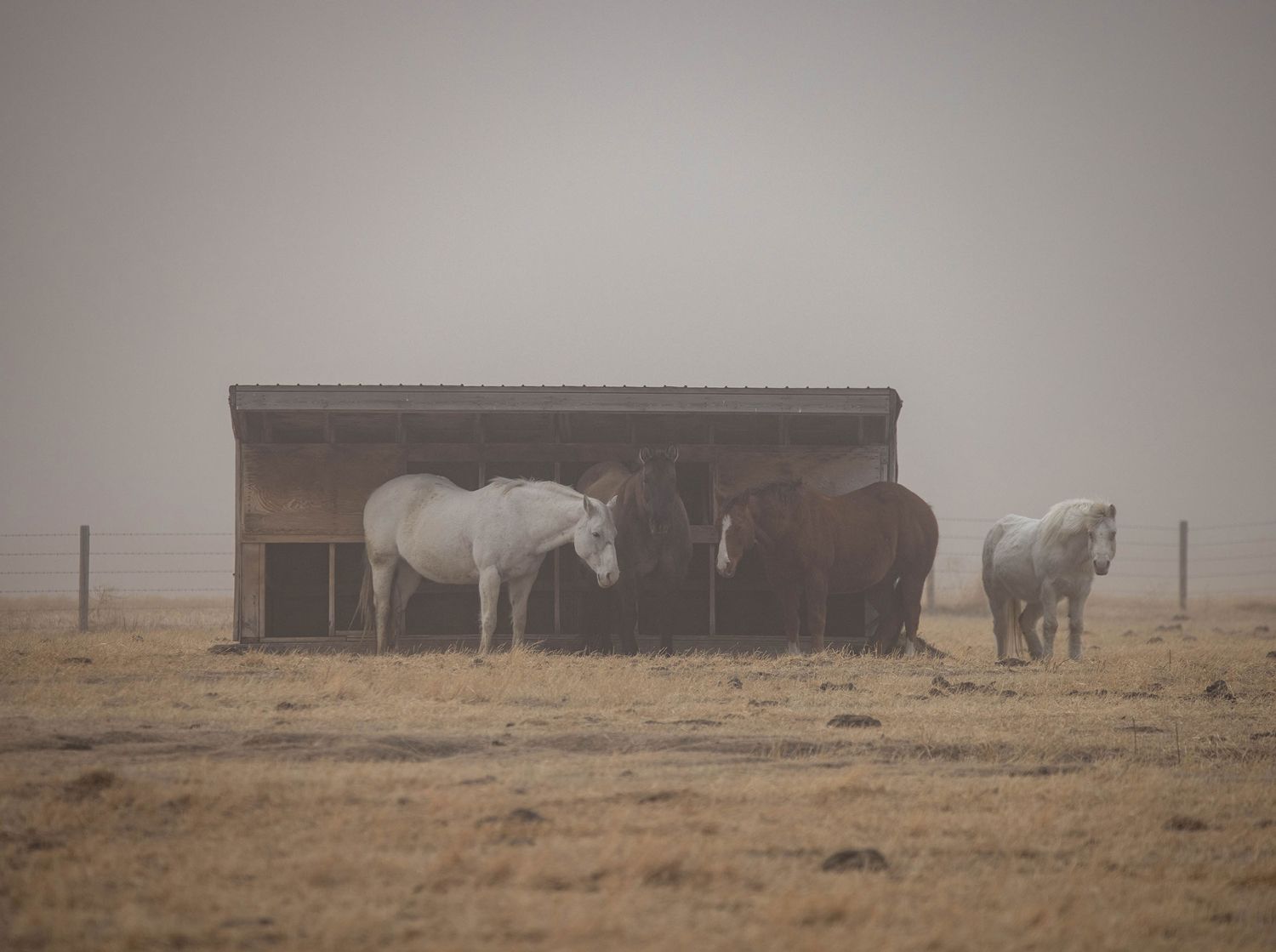 NextImg:10/3 podcast: Alberta’s drought shaping up to be ‘worse than we saw in the 1920s, 1930s’