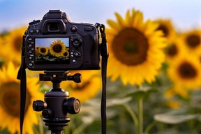 Top digital cameras for new to intermediate photographers.