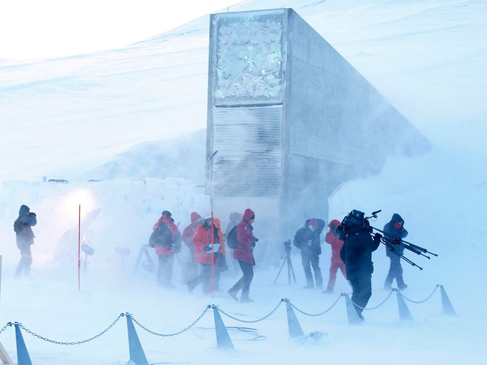 NextImg:'Doomsday' vault creators win $500,000 World Food Prize