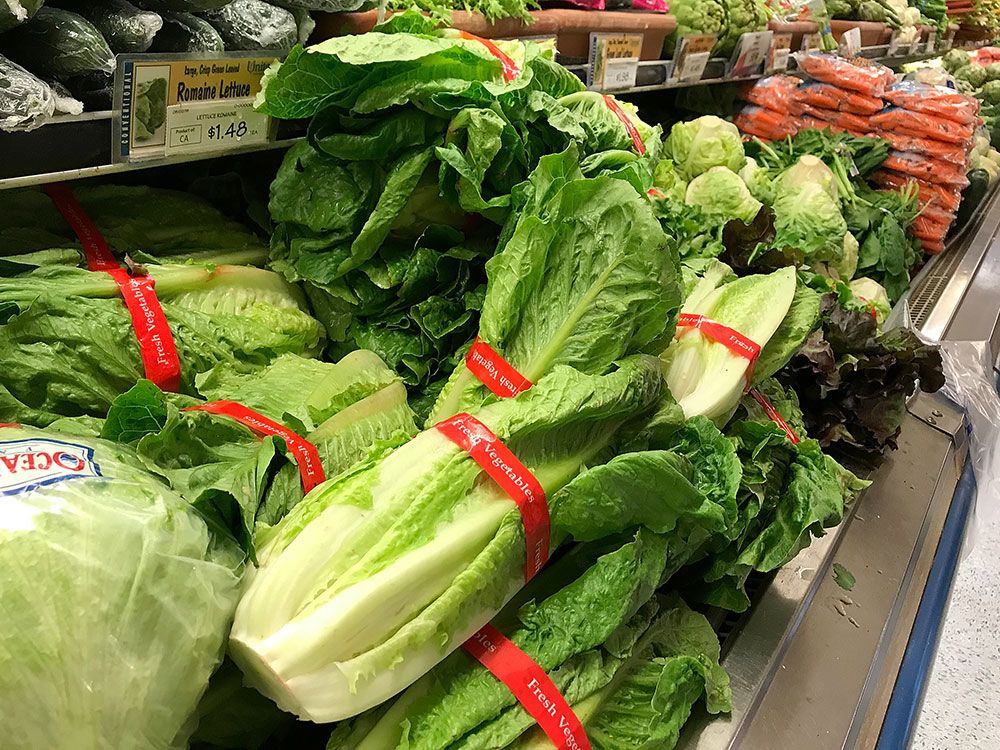 NextImg:Leafy greens are 'major source' of foodborne illnesses and costs, study finds