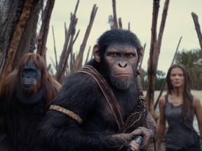 From left, Raka (Peter Macon), Noa (Owen Teague) and Nova (Freya Allan) in Kingdom of the Planet of the Apes.
