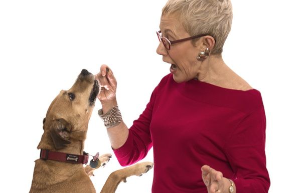 NextImg:Senior Living: Former Chatelaine editor finds purpose with a pup