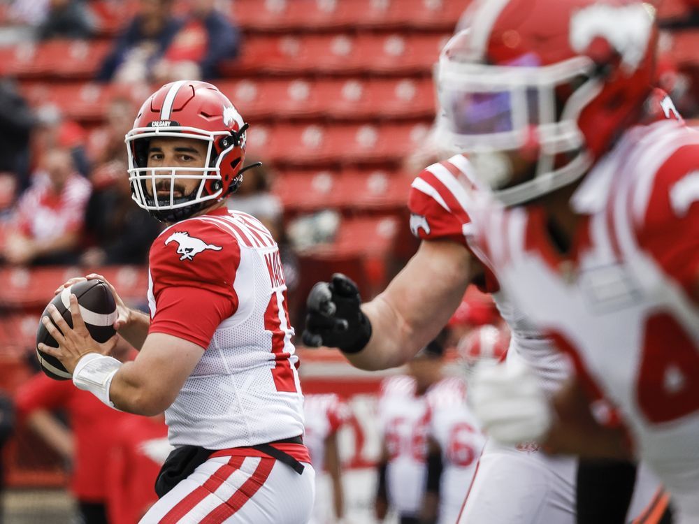 NextImg:Stampeders pounce on Lions for 30-6 pre-season win