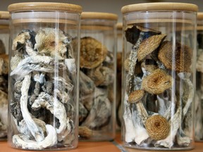 Magic mushrooms in glass jars.