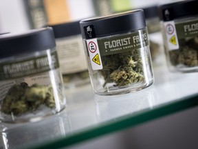 FILE - Cannabis flowers are displayed for sale, Jan. 24, 2023, in New York. New York's legal cannabis market has been hampered by inexperienced leaders who treated the agency like a "mission-driven" startup rather than a government office, according to an internal review released Friday., May 10, 2024.