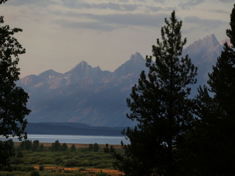 NextImg:Grizzly that mauled hiker in Grand Teton National Park won't be pursued