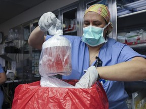 FILE - Melissa Mattola-Kiatos, RN, nursing practice specialist, removes the pig kidney from its box to prepare for transplantation at Massachusetts General Hospital, March 16, 2024, in Boston. Richard "Rick" Slayman, the first recipient of a genetically modified pig kidney transplant, has died nearly two months after he underwent the procedure, his family and the hospital that performed the surgery said Saturday, May 11. (Massachusetts General Hospital via AP, File)