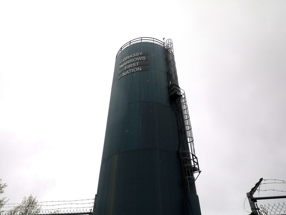 NextImg:Waste from mill worsening mercury contamination in river near Grassy Narrows: study