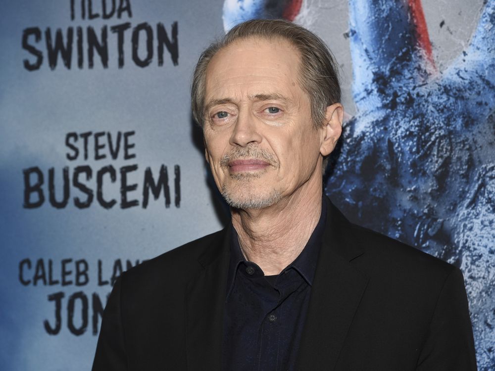 Steve Buscemi punched by random attacker in New York | National Post