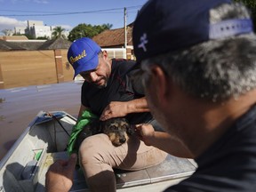 People rescue a dog named Maia from a flooded area after heavy rain in Canoas, Rio Grande do Sul state, Brazil, Thursday, May 9, 2024.