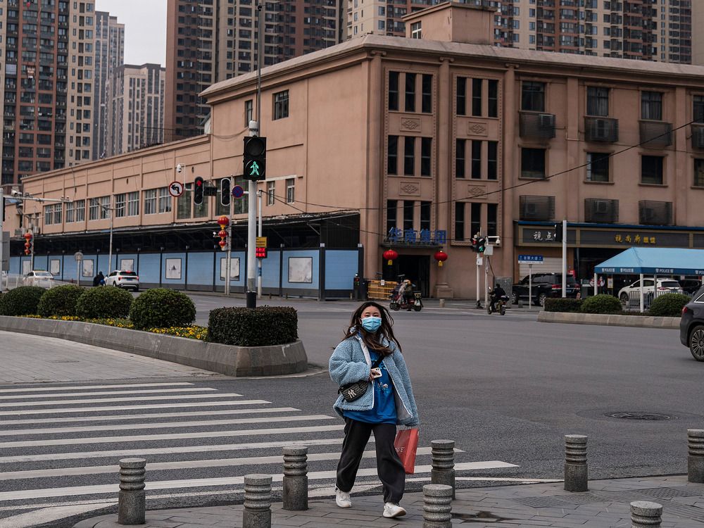 NextImg:Canadian scientist explains how Covid likely escaped from a Chinese lab in 'five key points'