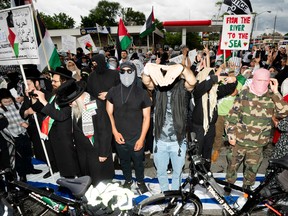 Pro-Palestinian protesters