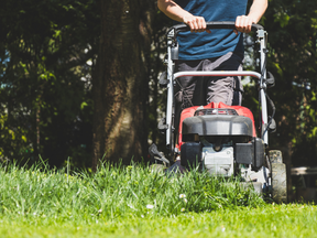 Lawn mowers: Our top picks.