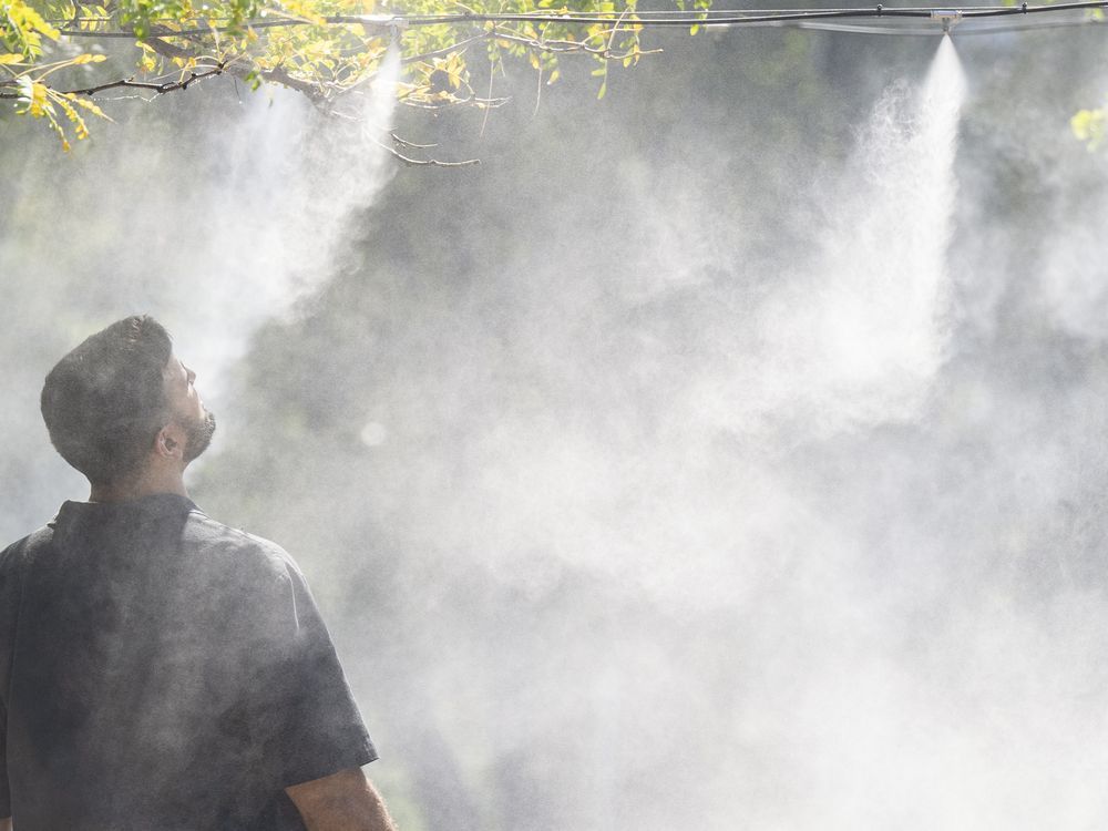 NextImg:Ontario schools to remain open amid heat warning prompting safety concerns