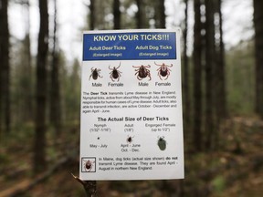 In this photo made Friday, May 9, 2014, an informational card about ticks distributed by the Maine Medical Center Research Institute is seen in the woods in Freeport, Maine.