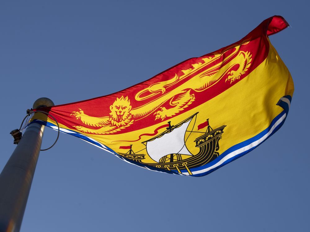 NextImg:New Brunswick's Twin Rivers pulp mill fined $250,000 for polluting Madawaska River