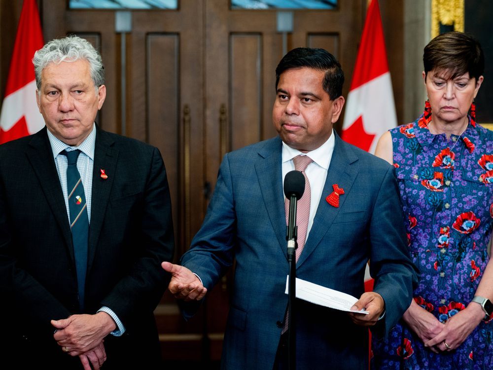NextImg:Government attempts to define Indigenous identity heightening fraud concerns, minister says