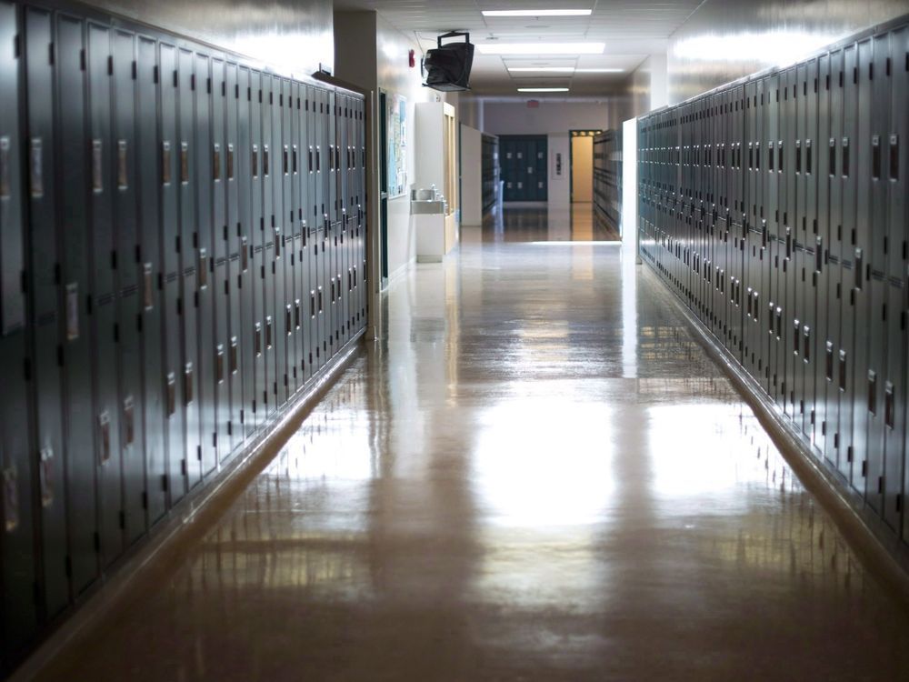 NextImg:B.C. teachers' union denies Holocaust education group funds, recognition: advocates