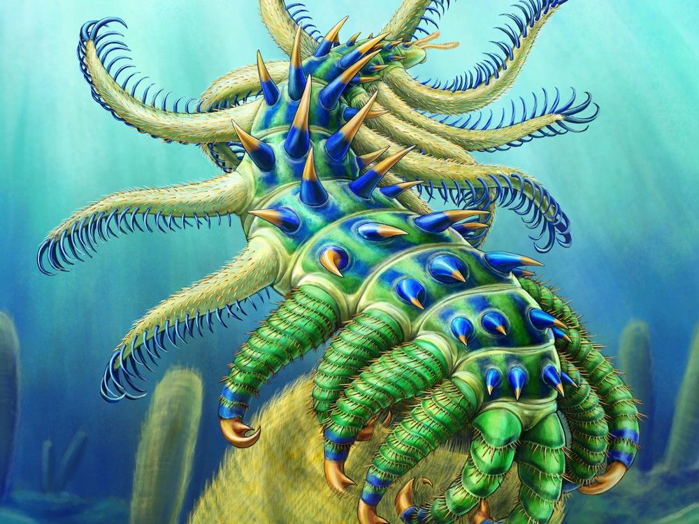 NextImg:Alien-like creature with protruding spikes that lived 500 million years ago discovered in B.C.