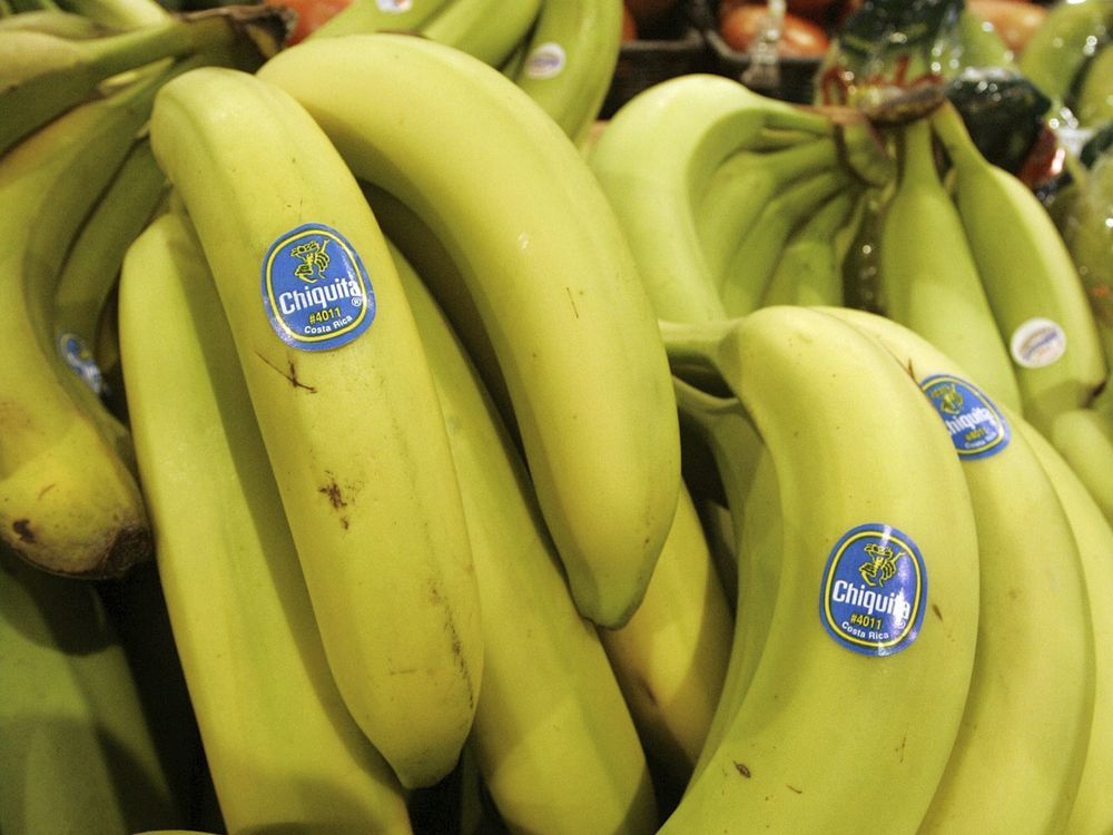 NextImg:Florida jury finds Chiquita Brands liable for Colombia deaths, must pay $38.3M to family members