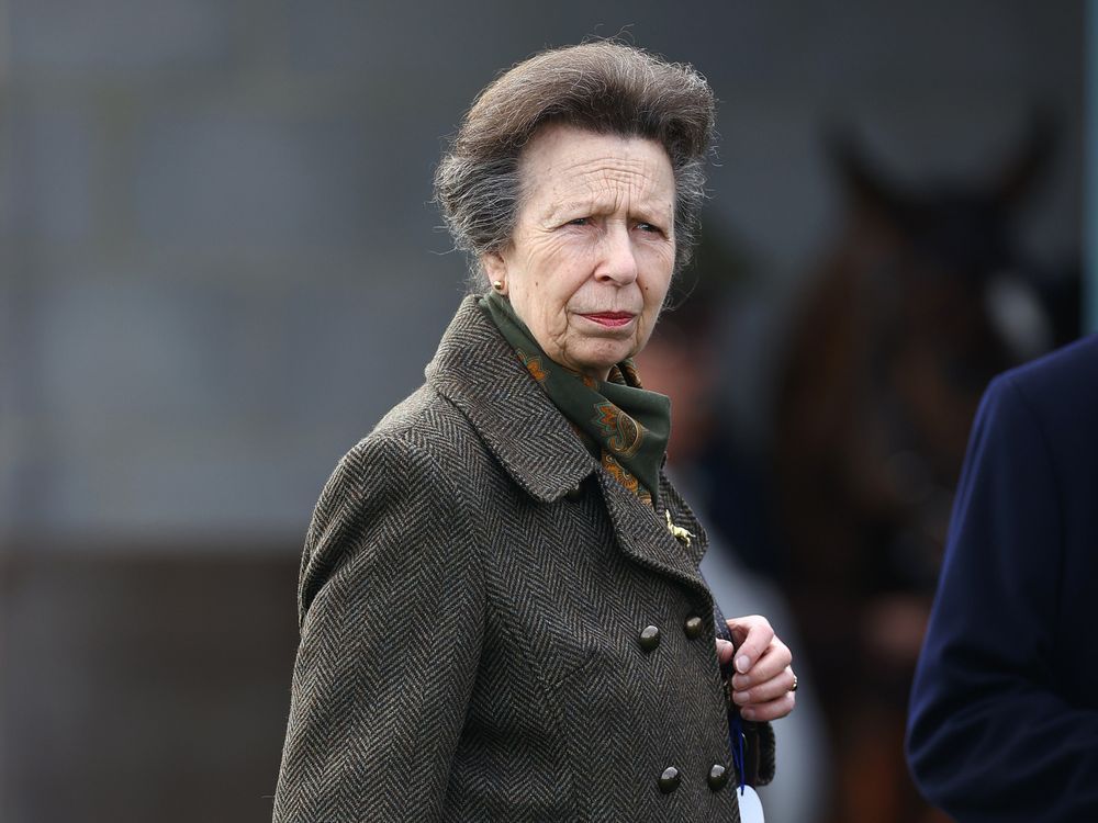 NextImg:Princess Anne hospitalized with concussion, expected to make 'swift' recovery
