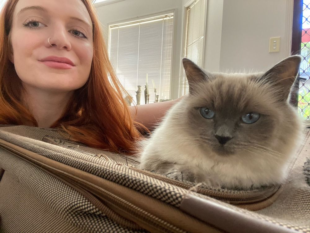 NextImg:A tourist's guide to free accommodation in Canada. There's no catch, just cats