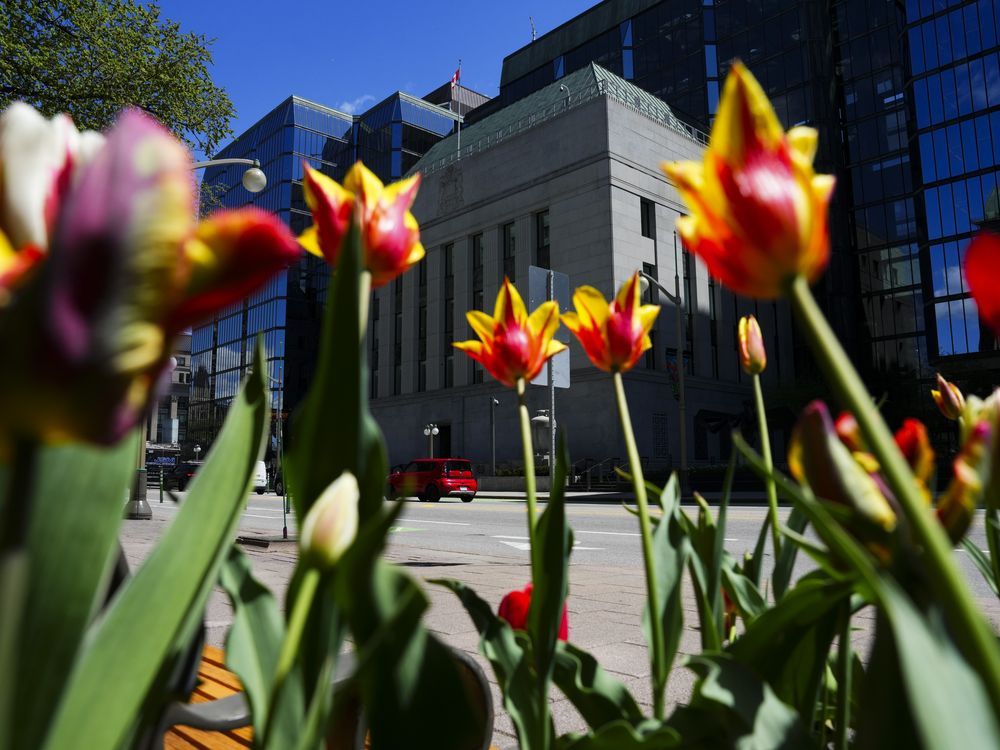 NextImg:Bank of Canada cuts key interest rate for first time in more than four years