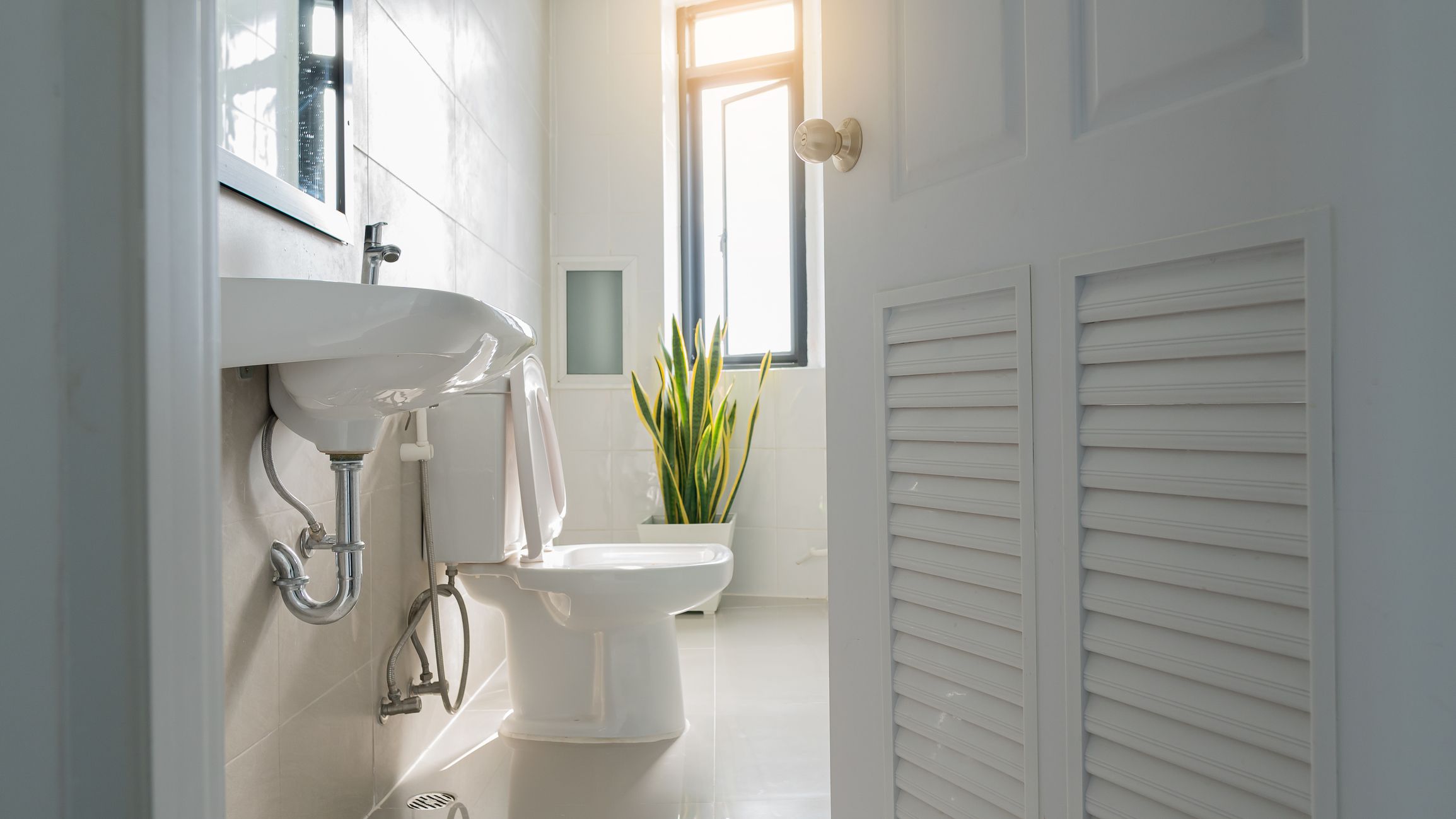 NextImg:How to perfectly clean a toilet