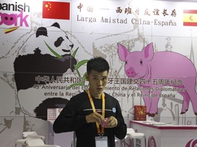 A promoter at a booth for imported Spanish pork prepares for another day at the China International Import Expo in Shanghai, on Nov. 6, 2018. The Chinese government is taking aim at European farmers instead of German automakers by launching an investigation into European Union pork imports, just days after the EU said it plans to impose provisional tariffs on China-made electric vehicles.