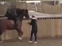 A video appears to show Charlotte Dujardin allegedly whipping a horse during training.