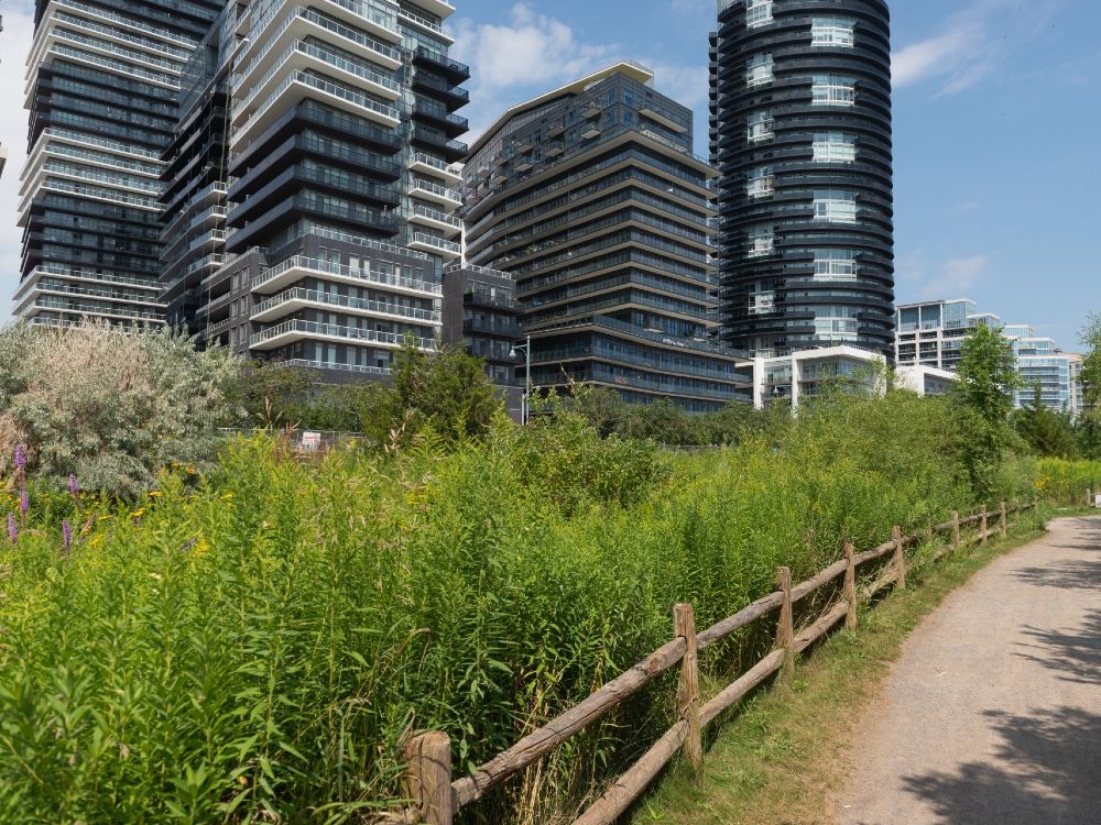 NextImg:Three levers governments must utilize to ease the cost of a new home in the GTA