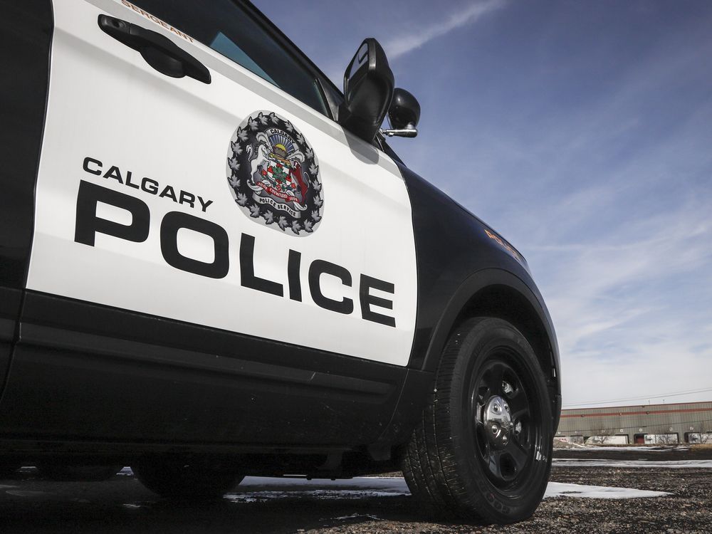 NextImg:Calgary woman facing criminal charge after dog left in hot car dies