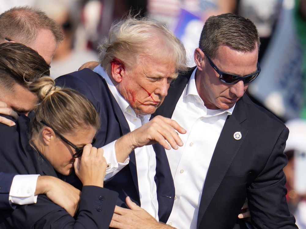 NextImg:Lisa MacLeod: What happened to Trump could happen here. We must address that