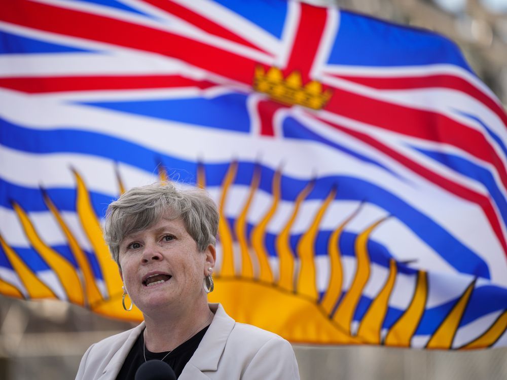 NextImg:Vancouver Island to see $3B in BC Hydro upgrades, expansion over the next decade