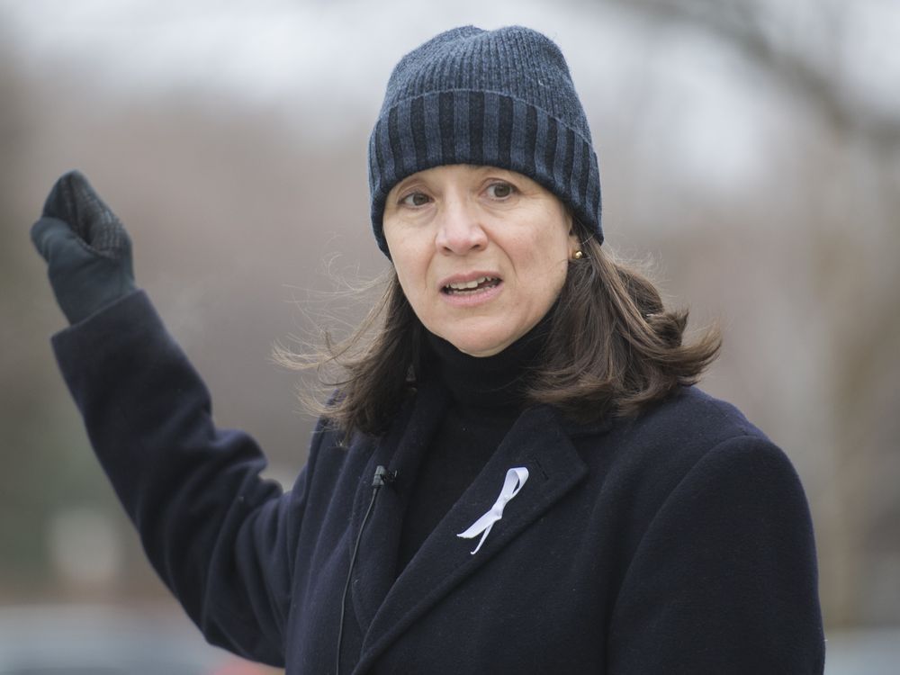 NextImg:Gun-control group fears Liberals have ’abandoned’ efforts on assault-style firearms