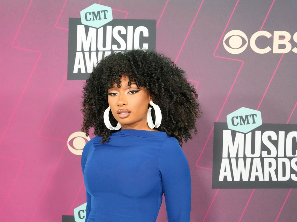 NextImg:Megan Thee Stallion backs Beyonce for President