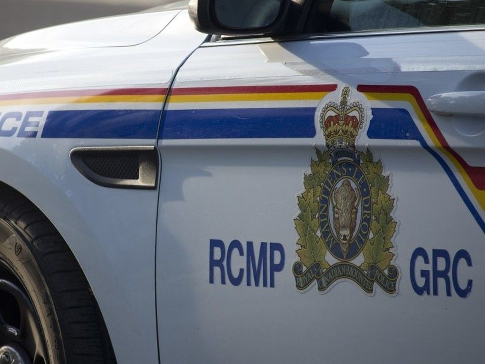 NextImg:Father, son facing terror charges allegedly planning violent Toronto attack: RCMP